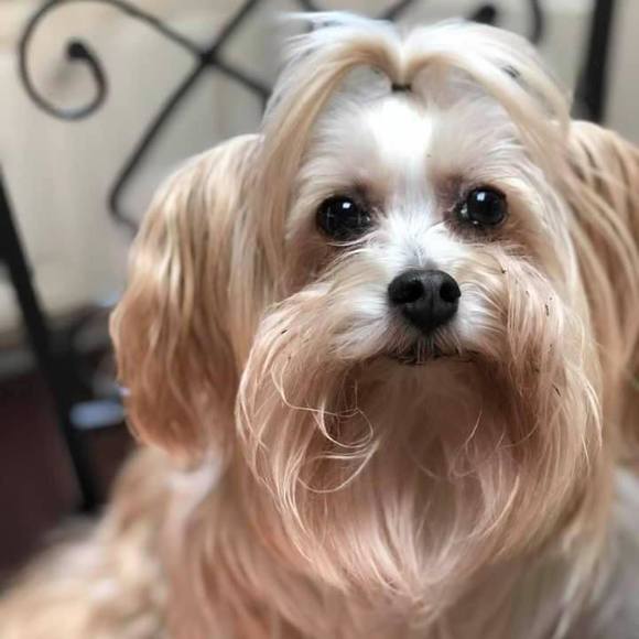 lrbassett